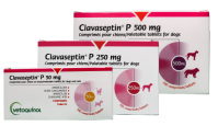 clavaseptin P N19